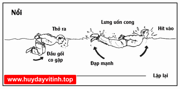 bi-kip-sinh-ton-cua-hai-quan-my-03