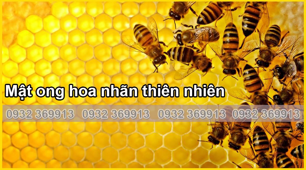 mat-ong-hoa-nhan-thien-nhien-chat-luong-tot-6