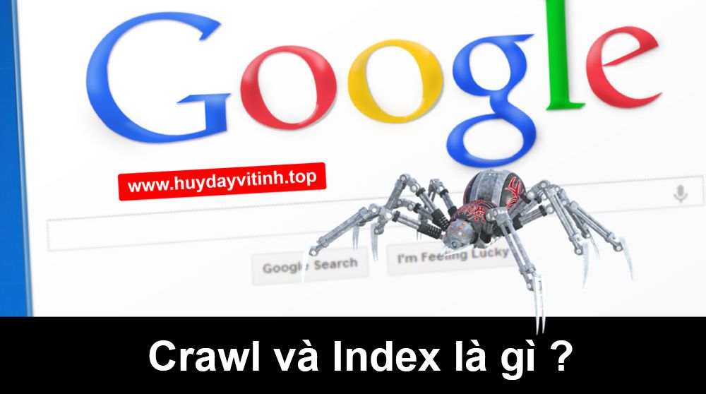 crawl-la-gi-index-la-gi-4