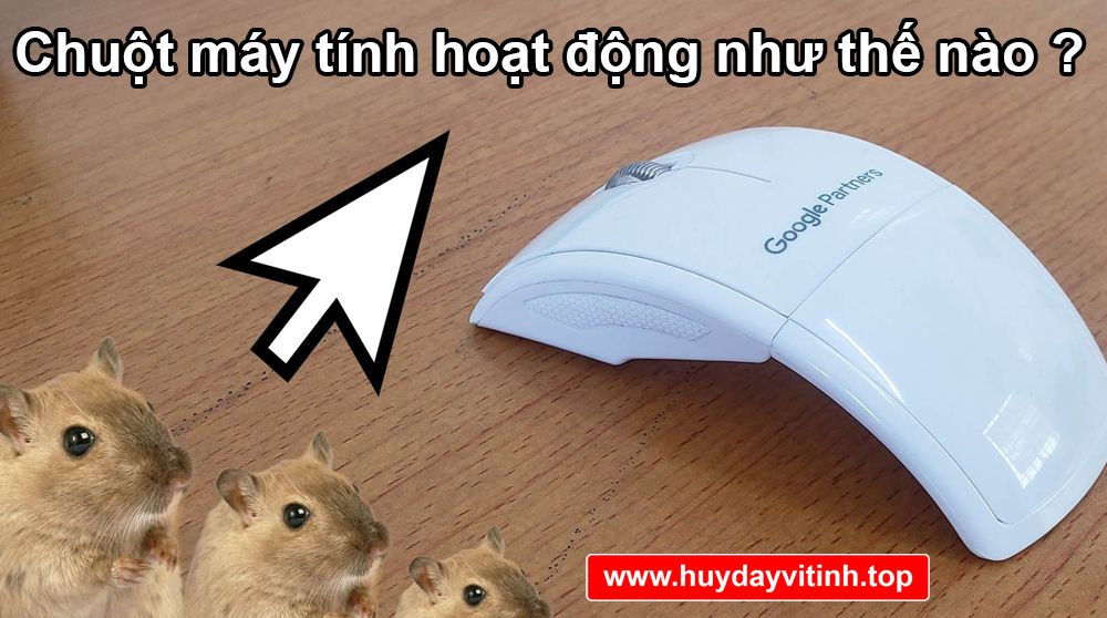 chuot-may-tinh-hoat-dong-the-nao-6